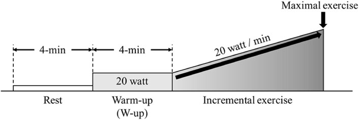 Temporal changes in cortical oxygenation in the motor-related ...