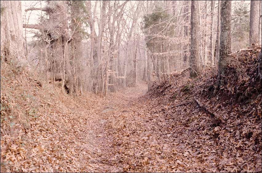 The Trail of Tears and the Forced Relocation of the Cherokee Nation ...
