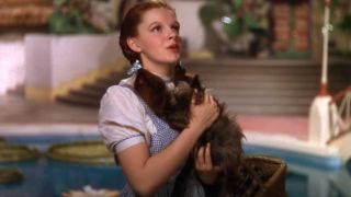 Movie And TV Quotes People Always Get Wrong (16) Movie And TV Quotes People Always Get Wrong (16)