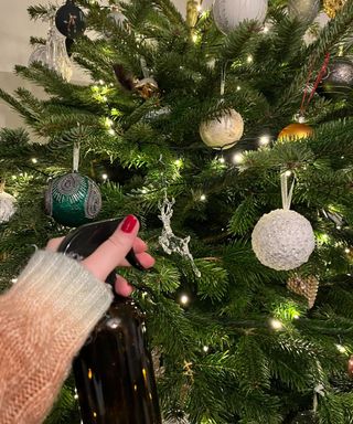 My freshly-cut Christmas tree smelled foul – but I fixed it cheaply and quickly with this DIY deodorizing spray (4) My freshly-cut Christmas tree smelled foul – but I fixed it cheaply and quickly with this DIY deodorizing spray (4)