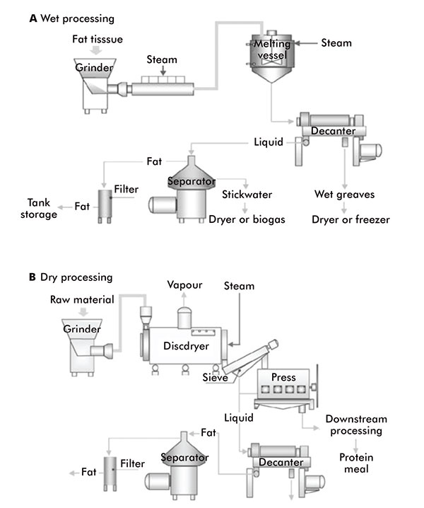 Lipid lore: Oils, fats and waxes (4) Lipid lore: Oils, fats and waxes (4)