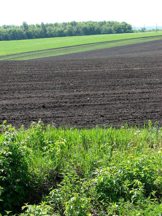 The black gold of Ukraine and the most fertile soils in the world.